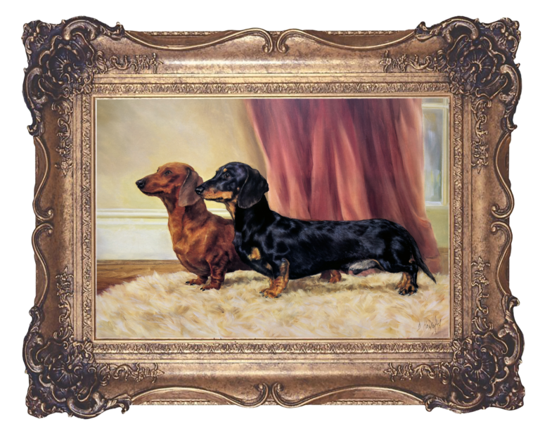 Dachshunds - High Society