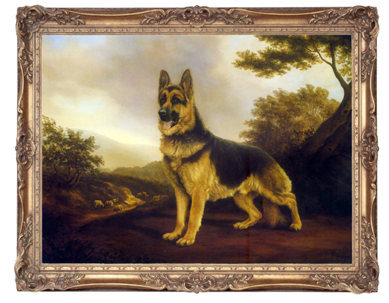 The Shepherd-German Shepherd