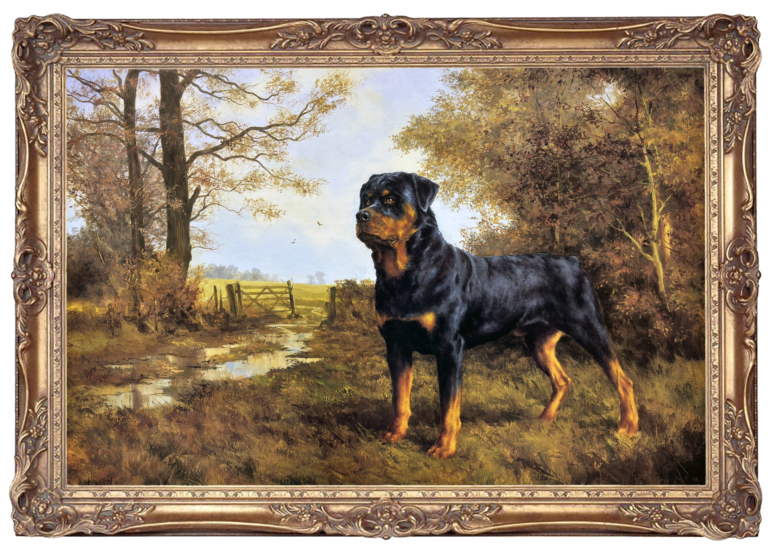 Rottweiler - The Guardian