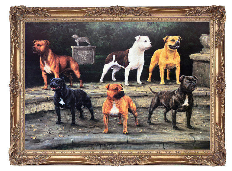 Staffordshire Bull Terriers - Staff Members