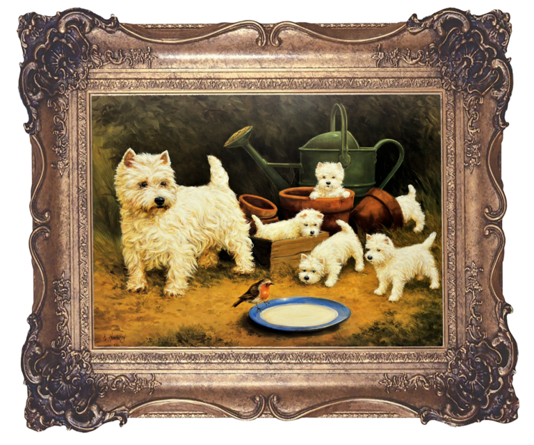 West Highland White Terriers - Curiosity